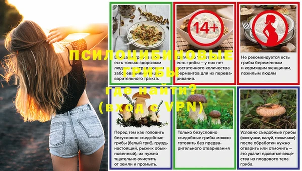 шишки Лиски