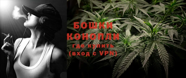 шишки Лиски