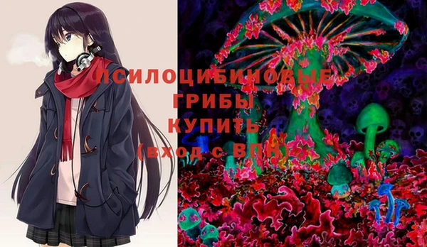 шишки Лиски