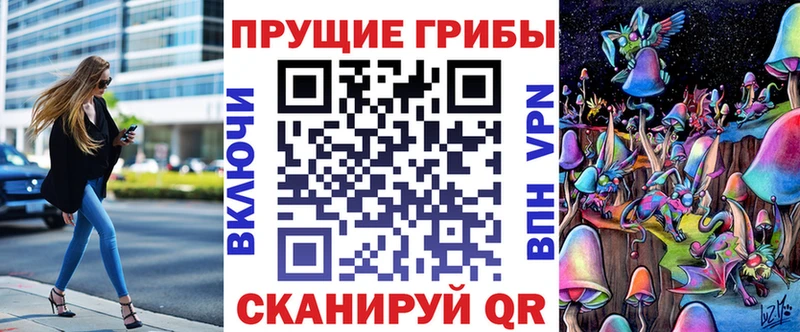 Купить  Алексин  Псилоцибиновые грибы мицелий 